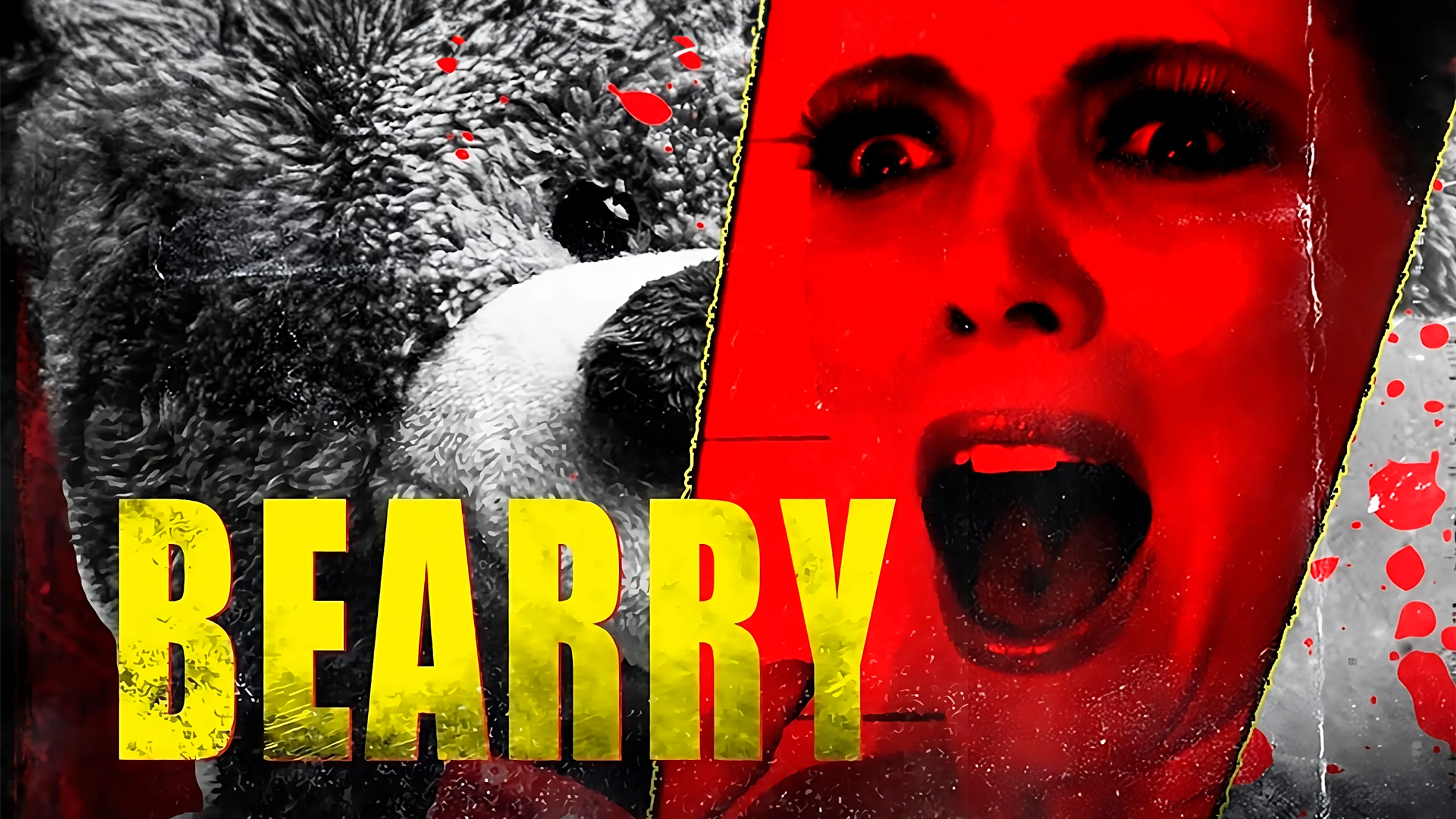 Bearry poster